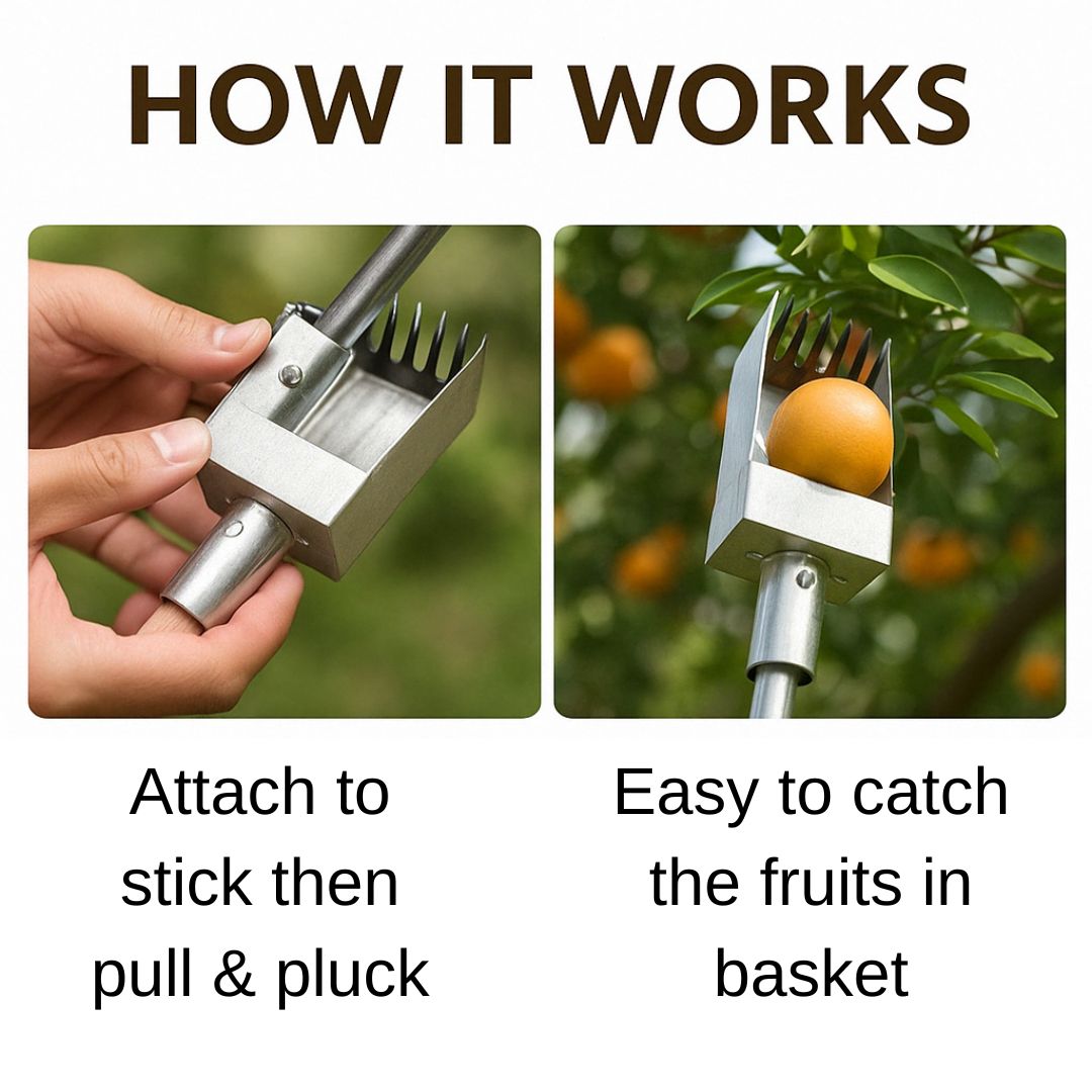 Silver Fruit Picker Tool
