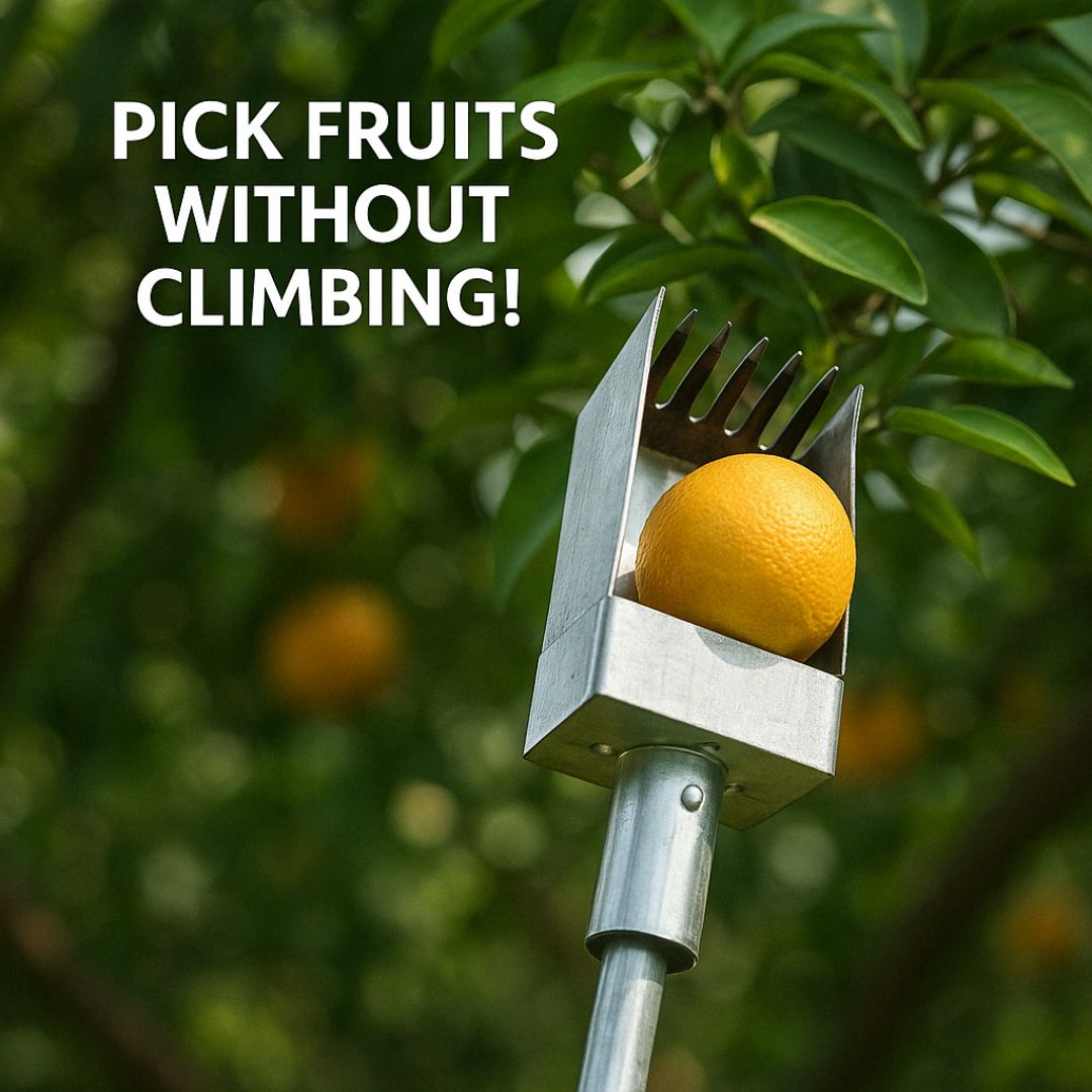 Silver Fruit Picker Tool