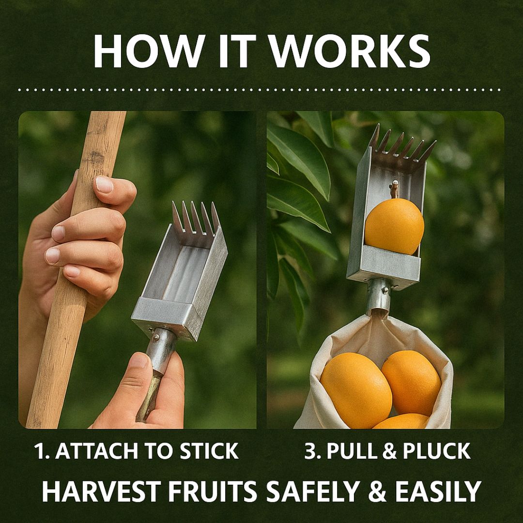 Silver Fruit Picker Tool